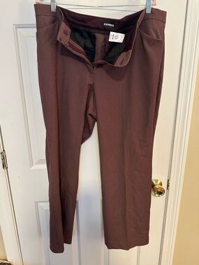Express Burgundy Dress Pants